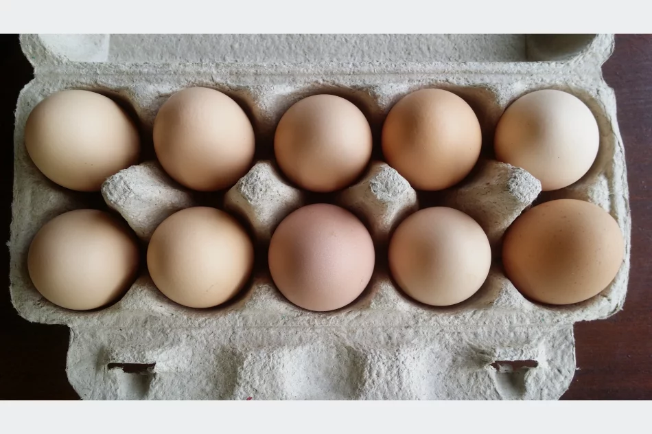 Jajka kurze wiejskie świeże z wolnego wybiegu darmowy dowóz - zdjęcie 2