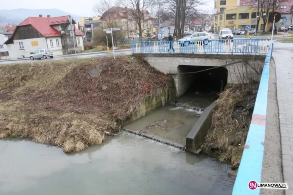 Martwy pies w rzece - zdjęcie 3