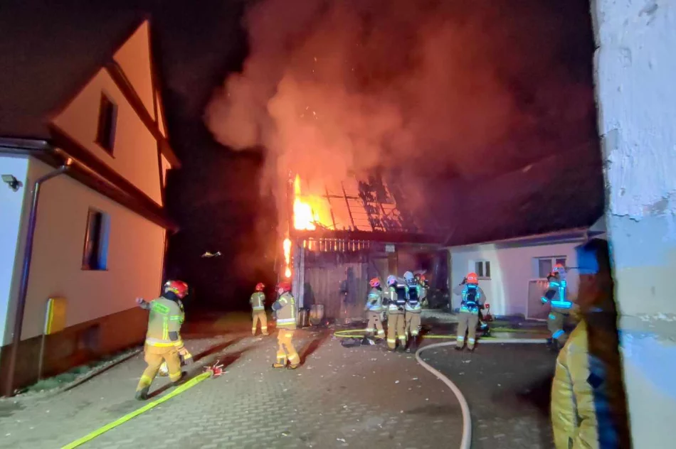Pożar budynku gospodarczego - zdjęcie 3