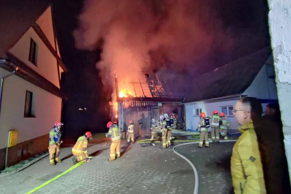 Pożar budynku gospodarczego - zdjęcie 5
