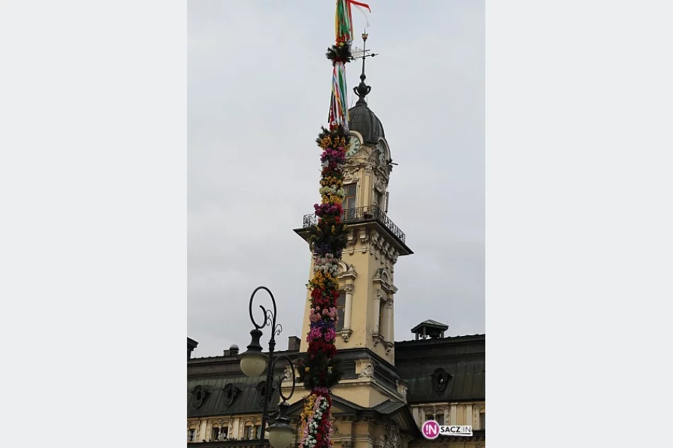 Palma ma 26 metrów - zdjęcie 2