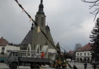 Palma na limanowskim Rynku - zdjęcie główne