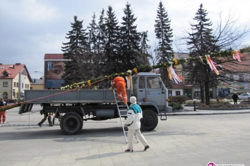 Palma na limanowskim Rynku - zdjęcie 2