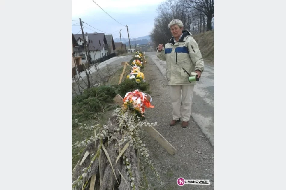 Palma na limanowskim Rynku - zdjęcie 3