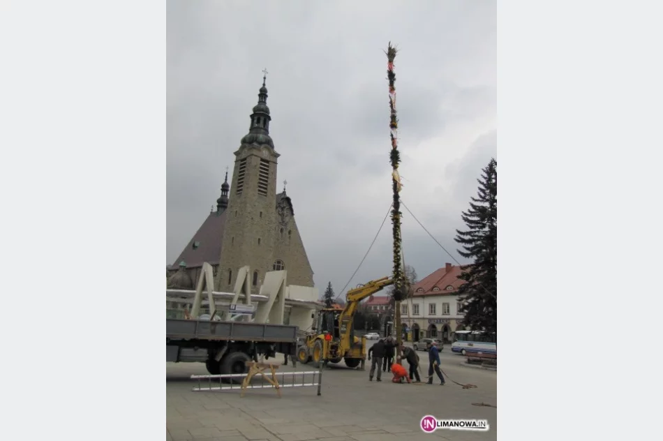 Palma na limanowskim Rynku - zdjęcie 4