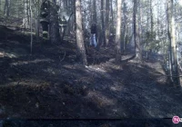 Gdzie najczęściej płoną trawy? - zdjęcie główne