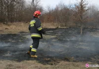Niechlubny rekord wypalonych traw pobity! - zdjęcie główne