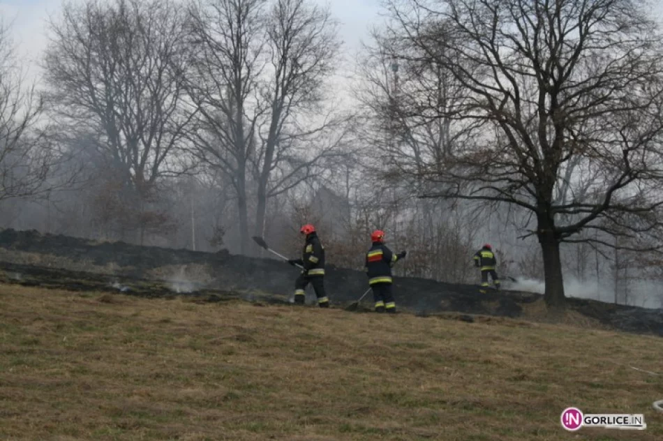 Paliły się trawy przy cmentarzu wojennym w Gorlicach- AKTUALIZACJA O FILM !! - zdjęcie 2