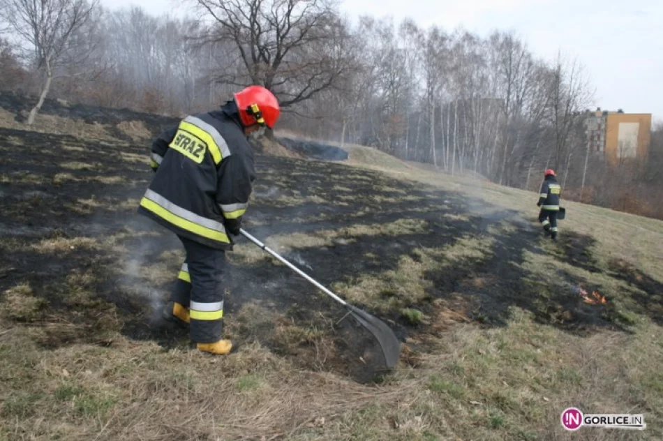 Paliły się trawy przy cmentarzu wojennym w Gorlicach- AKTUALIZACJA O FILM !! - zdjęcie 4
