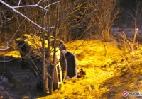 Kolejny bus się przewrócił. Jechali do Warszawy - zdjęcie główne