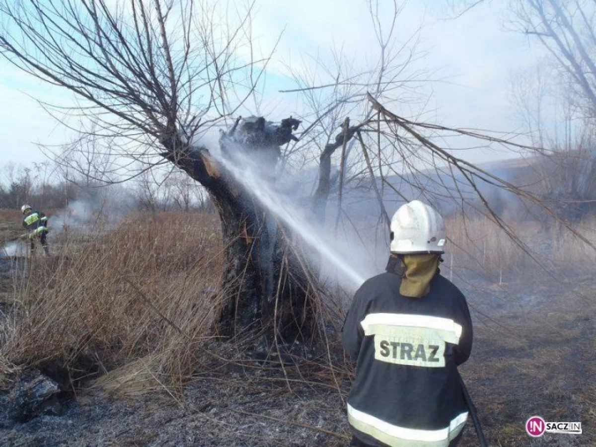 Ponad 90 pożarów traw