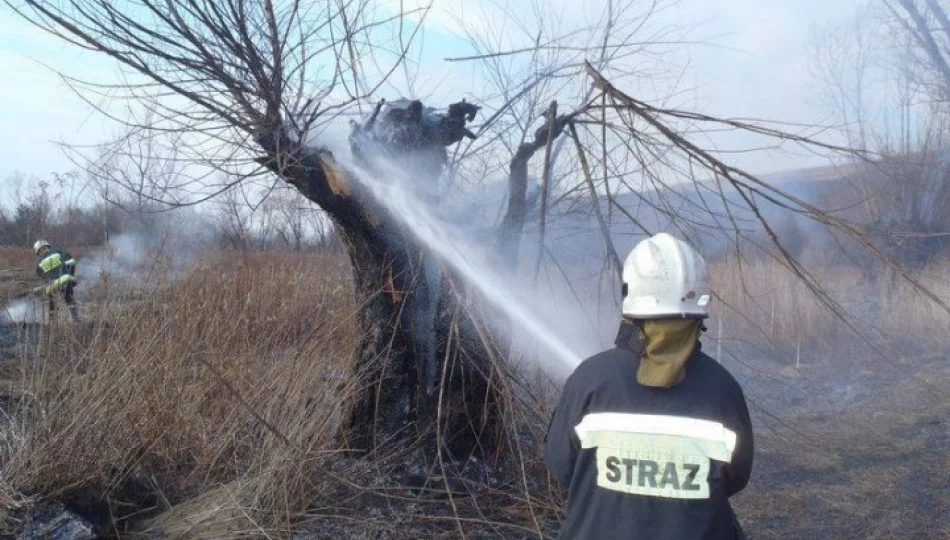 Ponad 90 pożarów traw - zdjęcie 1