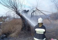 Ponad 90 pożarów traw - zdjęcie główne