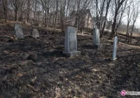 Pożar nawet na cmentarzu żydowskim - zdjęcie główne