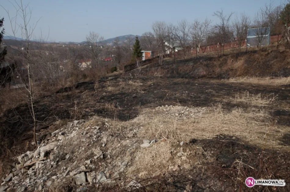 Pożar nawet na cmentarzu żydowskim - zdjęcie 4