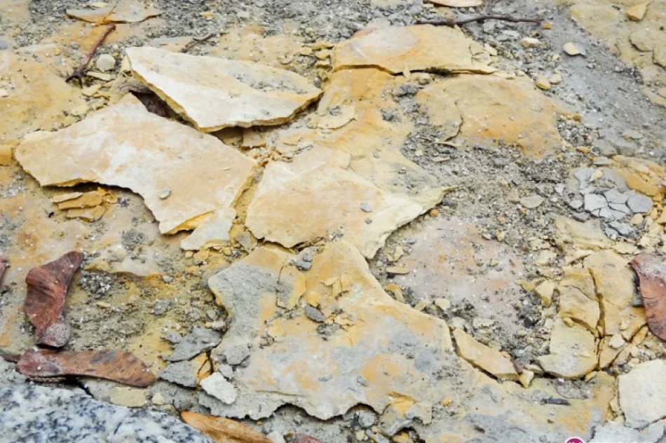 Przetargi to 'pole minowe' - zdjęcie 2