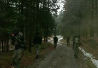 Taktyka i zasady przeszukiwania pojazdów - zdjęcie główne