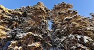 Przymroziło, temperatura spadła nawet do - 27 st. C. Potwierdziły się prognozy - zdjęcie 3