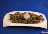 Czterech zatrzymanych. Mieli marihuanę - zdjęcie główne