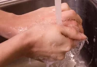 832 przypadki chorób zakaźnych - zdjęcie główne