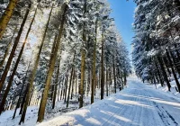 Od czwartku definitywnie żegnamy się z mroźną zimą - zdjęcie główne
