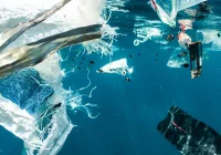 Czy zagraża nam mikroplastik? Raport SodaStream - zdjęcie główne
