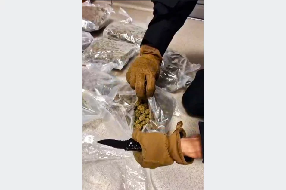 20-latek miał w samochodzie 4 kilogramy marihuany - zdjęcie 3