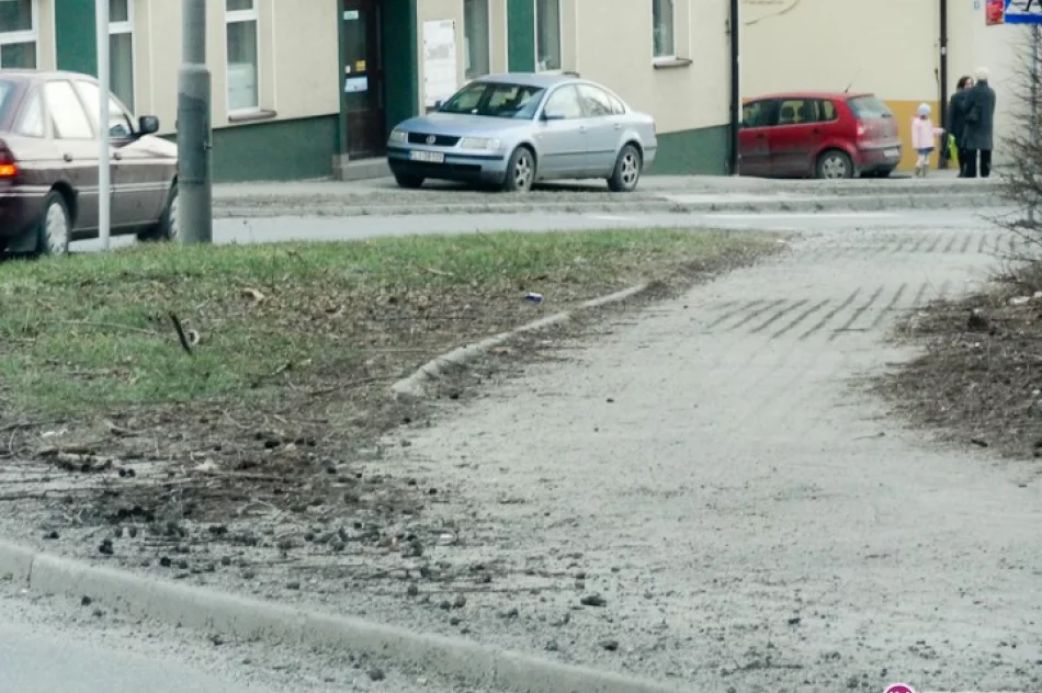 Kiedy ruszy sprzątanie miasta? - zdjęcie 2