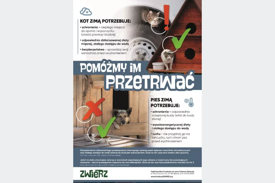 Pomóż zwierzętom przetrwać zimę, im też jest zimno - zdjęcie 2