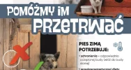 Pomóż zwierzętom przetrwać zimę, im też jest zimno - zdjęcie 2