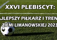 Plebiscyt zakończony, wszyscy oddali głos, wyniki pod koniec lutego - zdjęcie główne