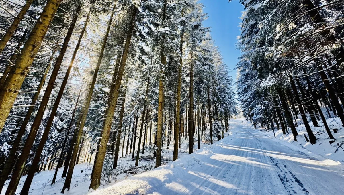 Prognoza pogody: zima w najbliższych dniach nie ustąpi (Na zdjęciu droga na Mogielicę - fot. Limanowa.in)