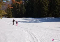 Pierwsze recenzje: są zachwyceni - zdjęcie główne