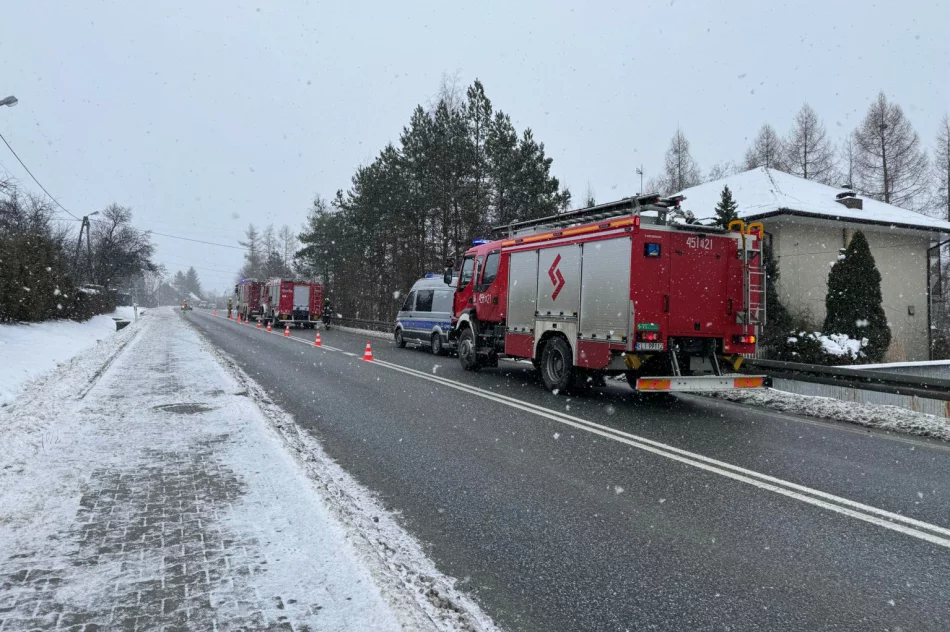 Zaśnięcie kierującej przyczyną dachowania - zdjęcie 10