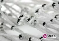 Woda w rzekach w górę - zdjęcie główne