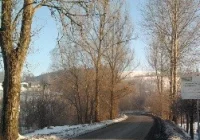 Cięcia drzew - utrudnienia w ruchu - zdjęcie główne