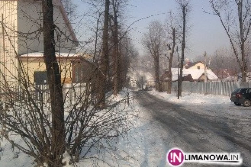 Cięcia drzew - utrudnienia w ruchu - zdjęcie 2