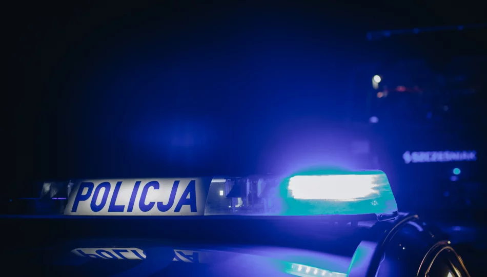 ​Kierowca Forda uderzył w ogrodzenie - zdjęcie 1