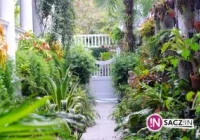 Ogrody biblijne przyciągną turystów? - zdjęcie główne