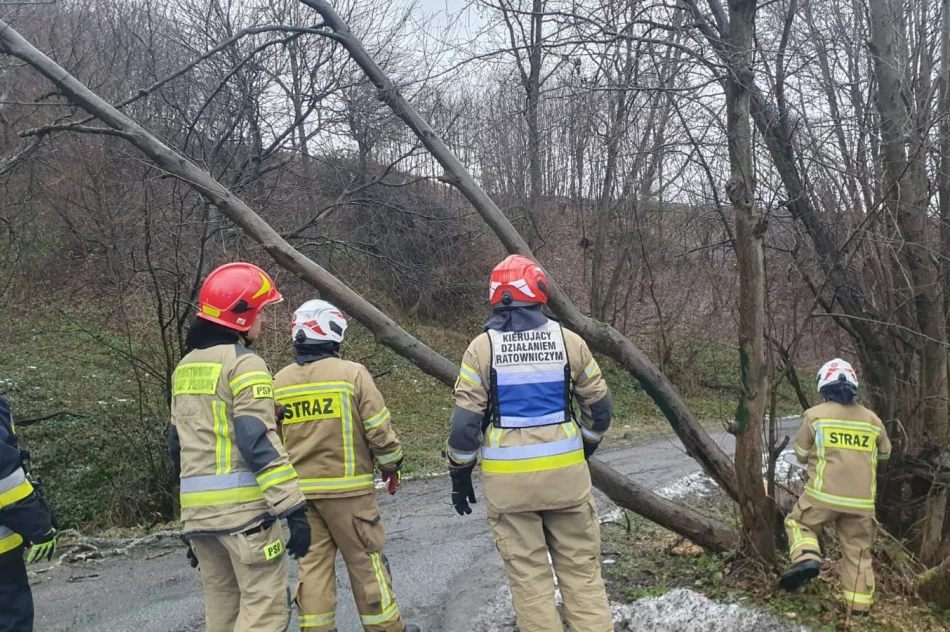 Silny wiatr w regionie - nawet 90 km/h - zdjęcie 4
