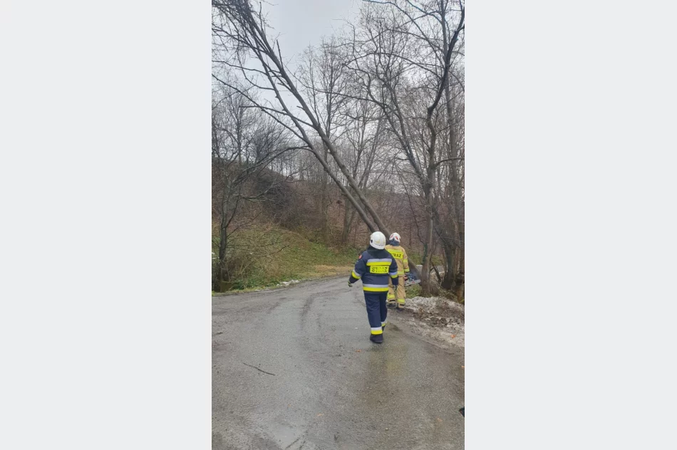 Silny wiatr w regionie - nawet 90 km/h - zdjęcie 5