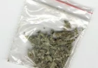 Marihuana i amfetamina - 6 osób zatrzymanych - zdjęcie główne