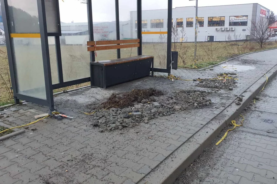 Gruz i obornik. Drugiego takiego przystanku nie ma chyba w Polsce - zdjęcie 5