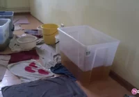 Siedziba Sursum Corda zalana - zdjęcie główne