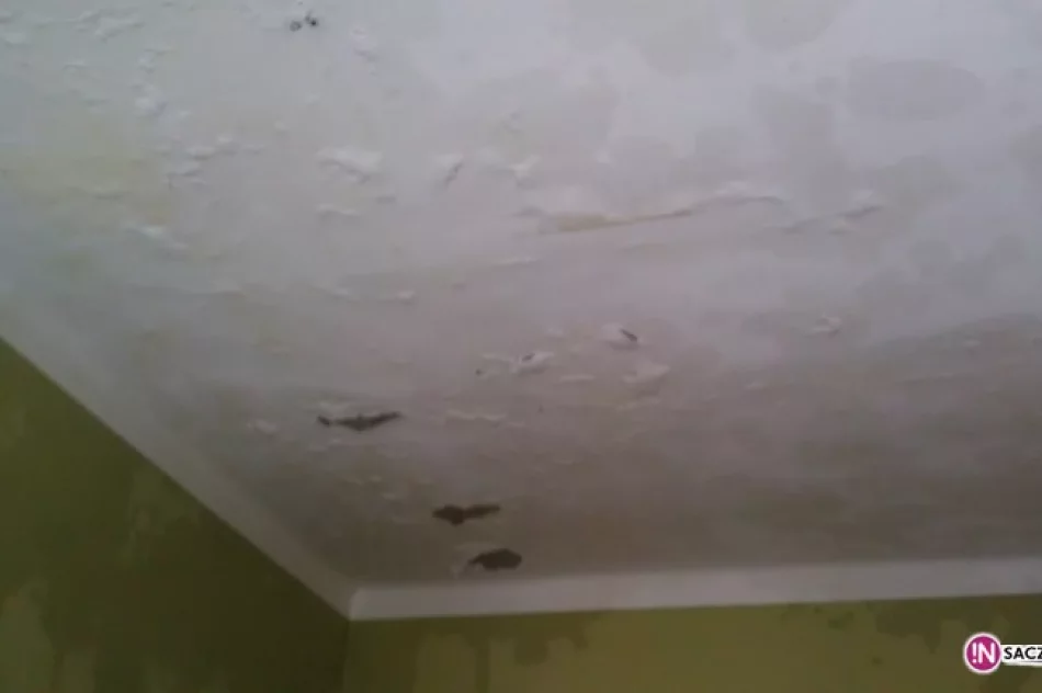 Siedziba Sursum Corda zalana - zdjęcie 2