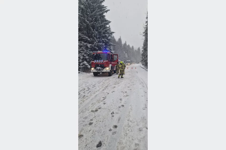 Czołowe zderzenie na drodze wojewódzkiej - zdjęcie 3
