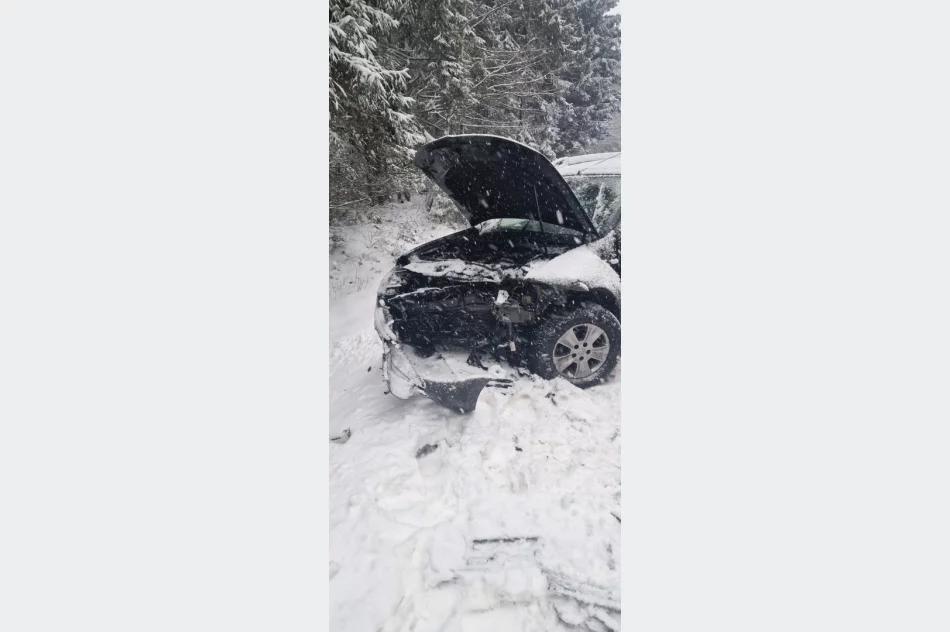 Czołowe zderzenie na drodze wojewódzkiej - zdjęcie 4