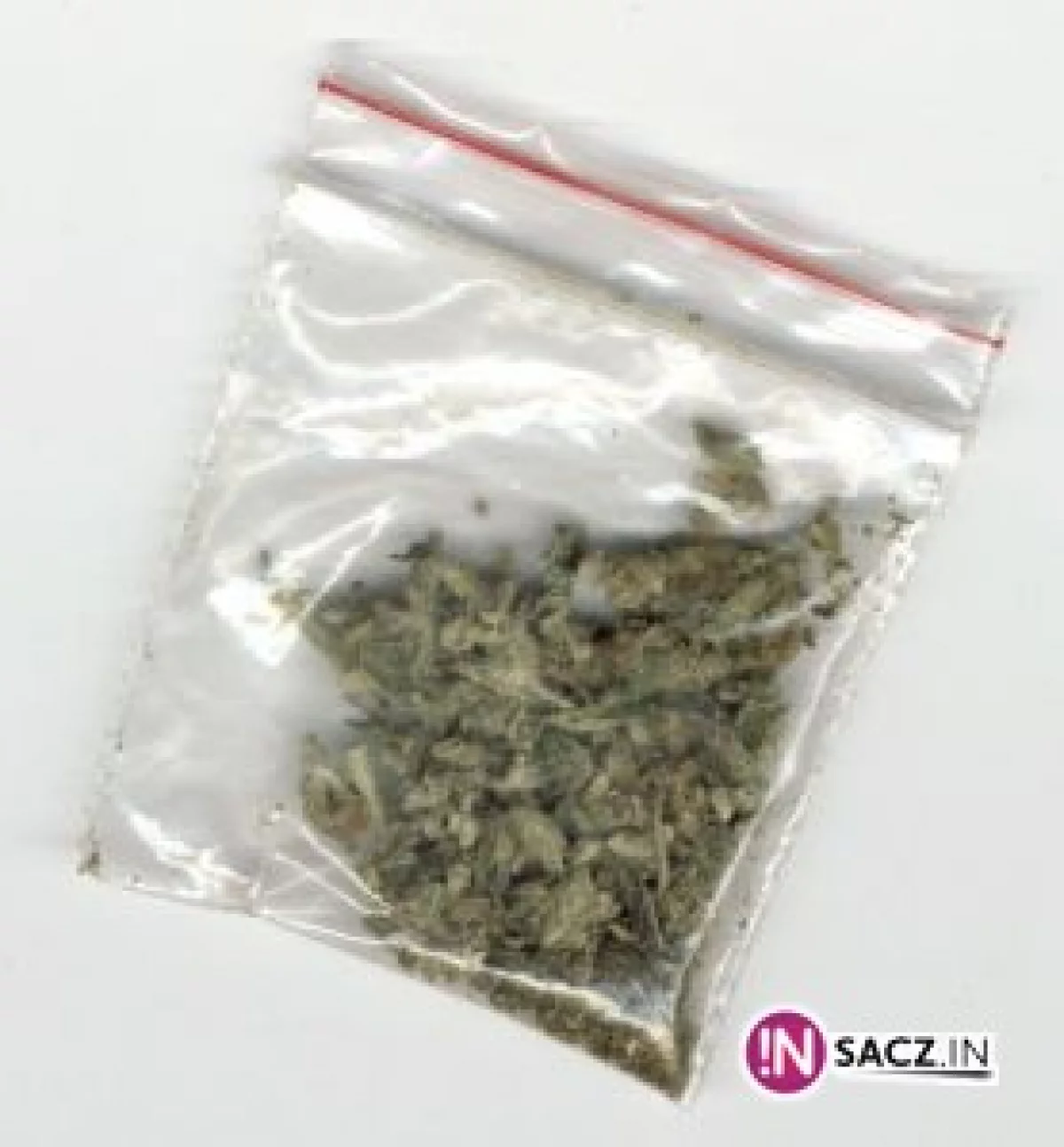 Prawie 100 g marihuany - 5 osób zatrzymanych