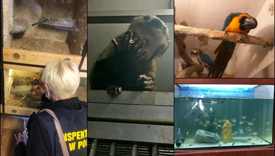 Nieprawomocny wyrok dla współwłaściciela limanowskiego sklepu zoologicznego - zdjęcie 1