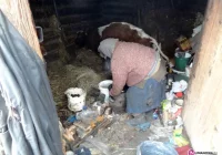 'Nie wiem, czy do wiosny przeżyję' - zdjęcie główne